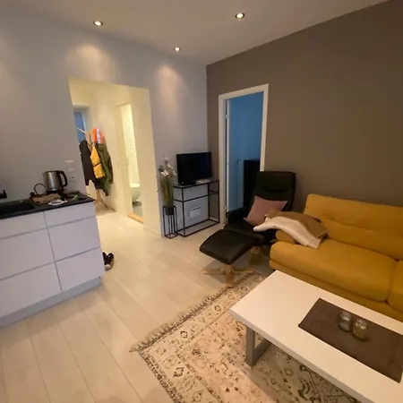 Moderne Naer Sentrum Leilighet